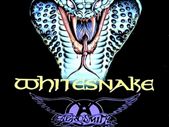 Whitesnake Vintage Concert Poster Monsters Of Rock Donington Park UK August 18th 1990 Replica
