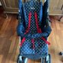 Stroller Image 2