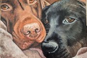 Custom Pet Portraits - oil painting