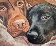 Custom Pet Portraits - oil painting