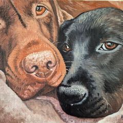 Custom Pet Portraits - oil painting