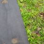 Premium anti weed non woven fabric 100g/sqm 1,06x10m Image 4