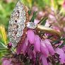 Antique Art Deco Marquise Diamond Ring 18ct Gold Image 3