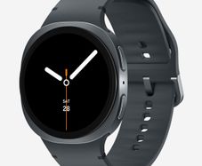 Galaxy Watch8 Graphite (Bluetooth, WI-Fi, GPS 40 mm)