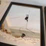 Vintage Set of 3 Unusual Devil Mirrors Image 4