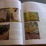 Camcor The river of Birr Offaly Ireland Irish Local history Image 9