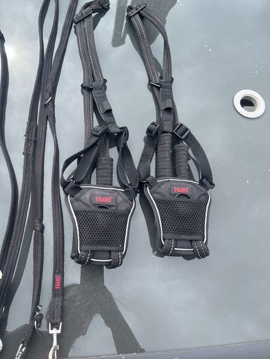 Halti Dog Harness and Lead