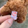 Ty maddie plushie Image 2