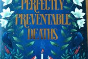 Perfectly Preventable Deaths. Deirdre Sullivan