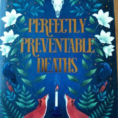 Perfectly Preventable Deaths. Deirdre Sullivan