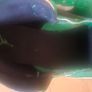 Air Jordan 1 Mid size 3.5 Image 8