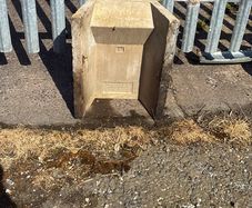 fireback 16 inch