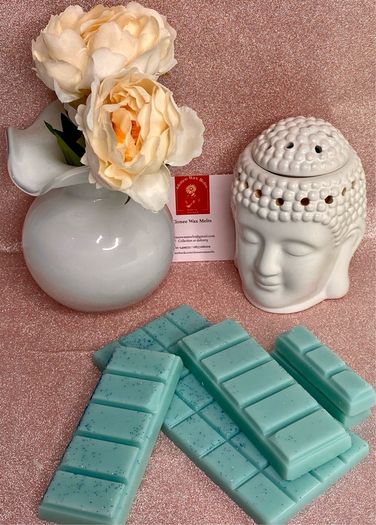 Clonee Wax Melt Snapbars