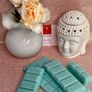 Clonee Wax Melts Snap Bars multi pack Image 8