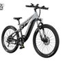 DUOTTS E29 Electric Bike Image 4