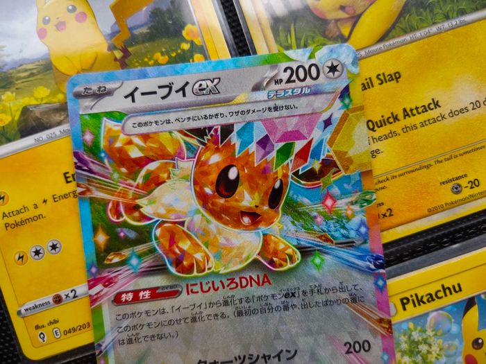 Eevee EX ! Double Rare ! from Terastal Festival EX Set ! 2024 ! Japanese Pokemon Card !