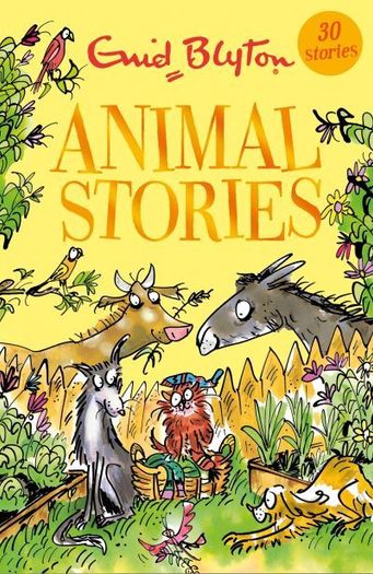 Classic Enid Blyton Collection Bundle (13 Books Total)