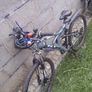 Young adult Mountain bike Image 4