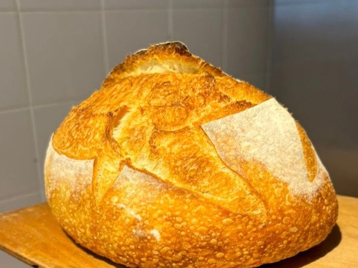 Sourdough starter