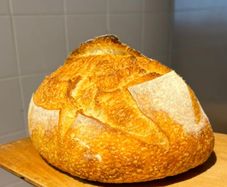 Sourdough starter