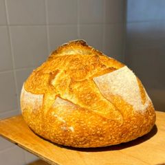 Sourdough starter