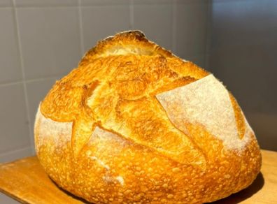 Sourdough starter