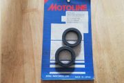 Suzuki TS100 fork seals