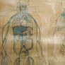 Mid century linen anatomical chart Image 5