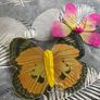 Angel Butterfly wings masquerade masks Image 2