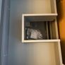 Final Reduction!! Wall Hung Vanity Image 4