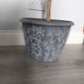 Potted indoor plant Image 5