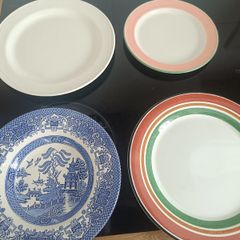 Vintage Steelite and Staffordshire plates
