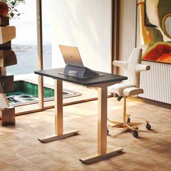 80 cm Electric Standing Desk Adjustable Height, 4 Memory Height Settings, Sit Stand Up Desk for Home Office & Computer Workstation,Black and Gold Frame