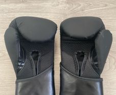 Boxing  gloves 8oz Elite