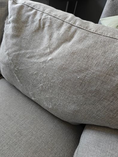 Light grey couch