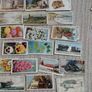 Cigarette   Cards Image 5