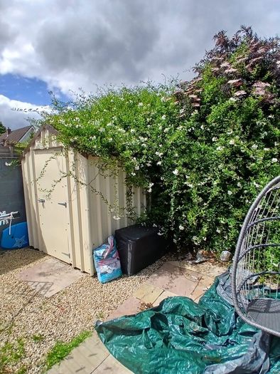Metal Shed For Sale 6 x 8
