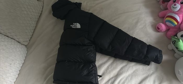 The North Face Nuptse 700 Jacket