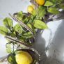 Lemon Door Wreath Image 8