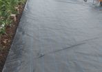 Weed control barrier