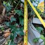 Access steps Image 4