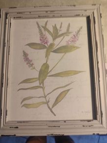 Framed Water Coloer  And Signed Hebe By Natalie Taylor