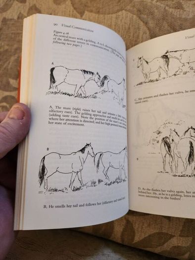 The Behaviour Of Horses. In Relation To Managment And Training.  By Dr Marthe Kiley-worthington. First Edition Hardback With Dustjacket In Good Condition.