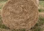 10 Round  Bales of Hay