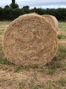 20 Round Bales of Hay