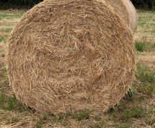 20 Round Bales of Hay