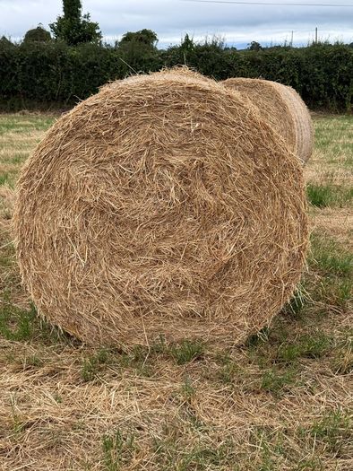 20 Round Bales of Hay