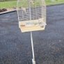 Budgie cage Image 2