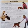 21 Days to Train Your Dog/ Colin Tennant Image 4