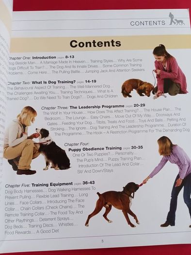 21 Days to Train Your Dog/ Colin Tennant